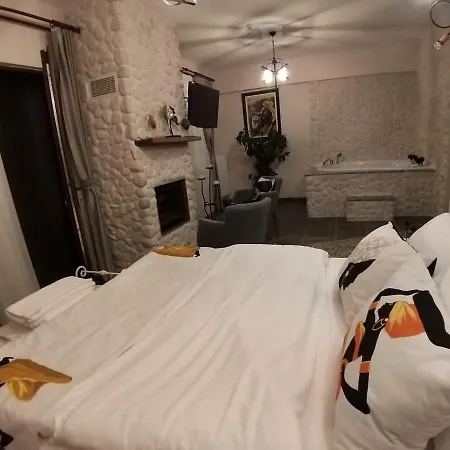 Hotel Aria